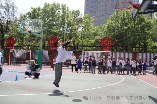 篮球训练营中试训的表现评估方法_0